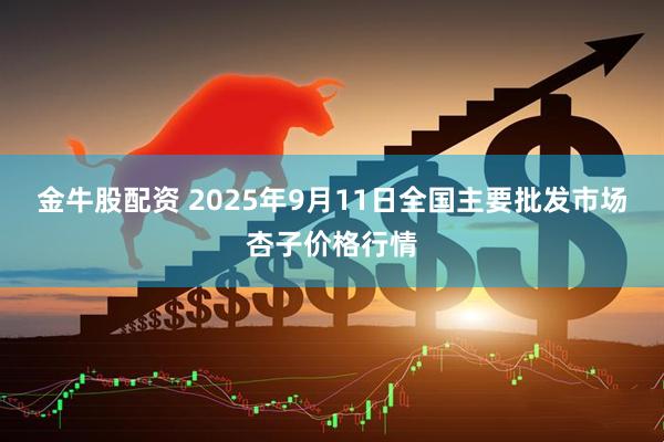 金牛股配资 2025年9月11日全国主要批发市场杏子价格行情