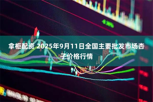 拿柜配资 2025年9月11日全国主要批发市场杏子价格行情