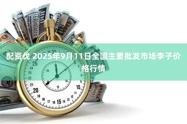 配资伐 2025年9月11日全国主要批发市场李子价格行情