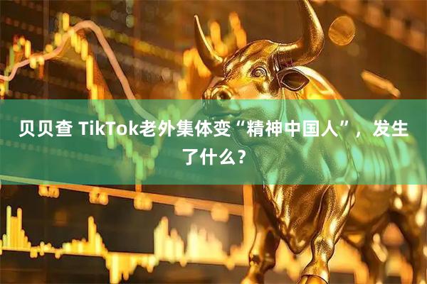 贝贝查 TikTok老外集体变“精神中国人”，发生了什么？