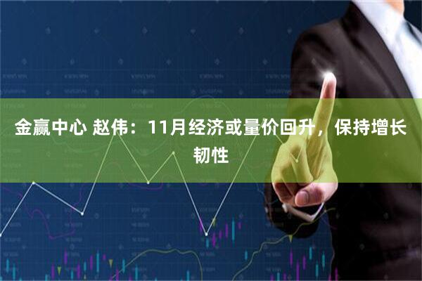金赢中心 赵伟：11月经济或量价回升，保持增长韧性